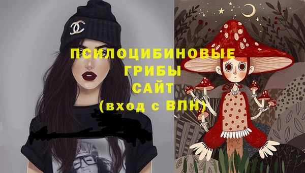 гидра Козельск