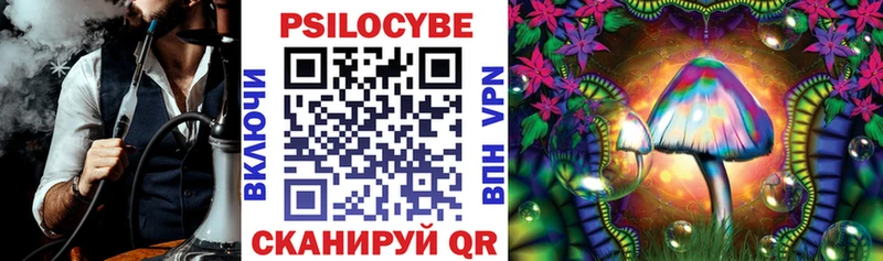 Псилоцибиновые грибы мухоморы  Купить  Ессентукская 